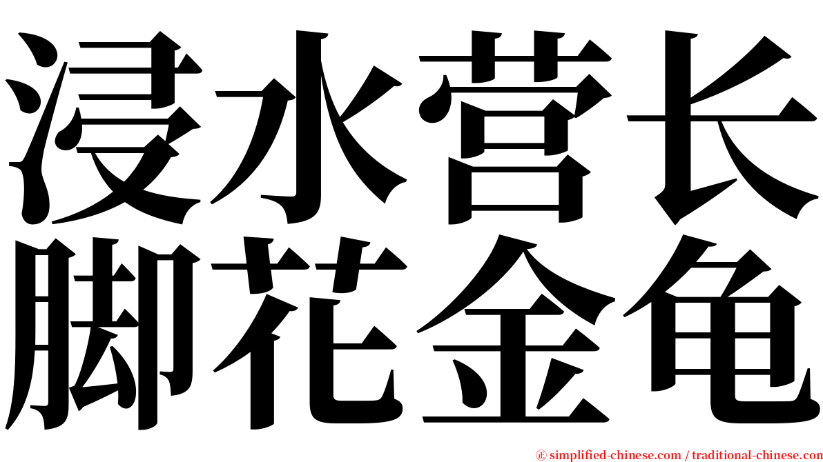 浸水营长脚花金龟 serif font