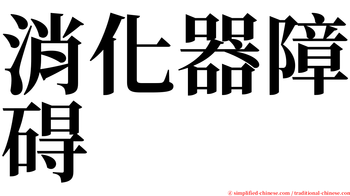 消化器障碍 serif font