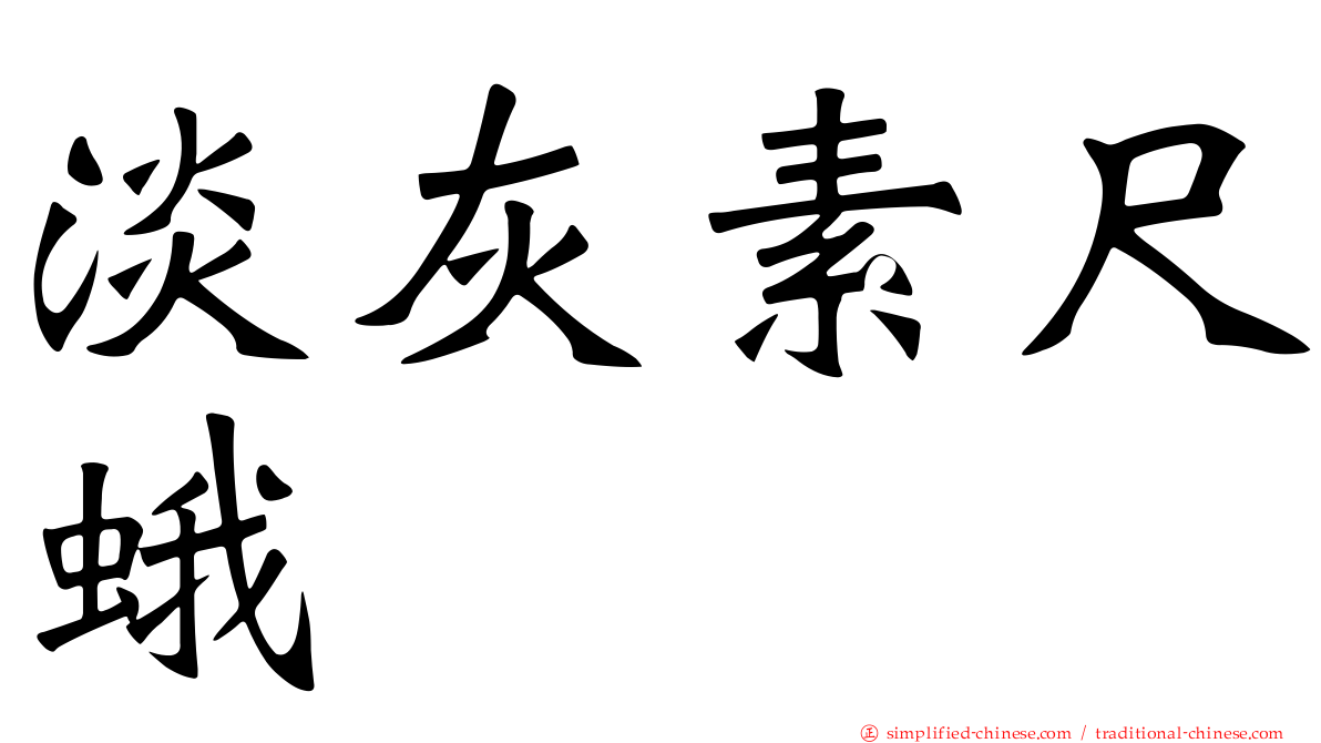 淡灰素尺蛾