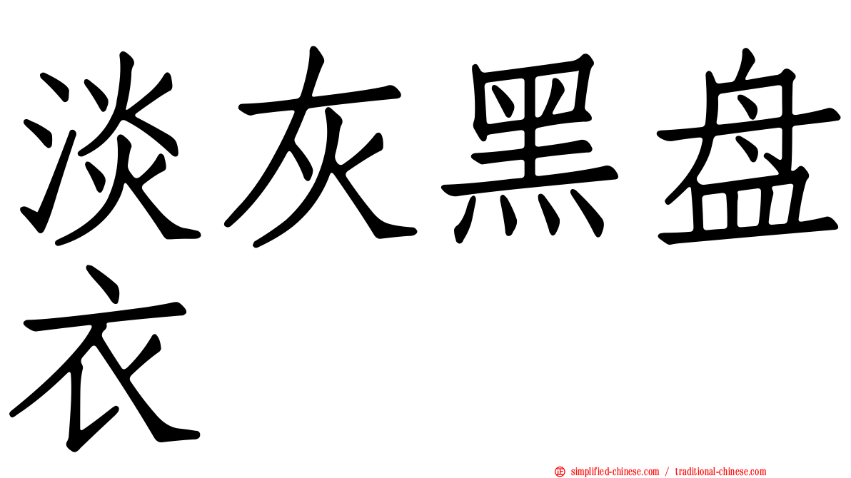 淡灰黑盘衣
