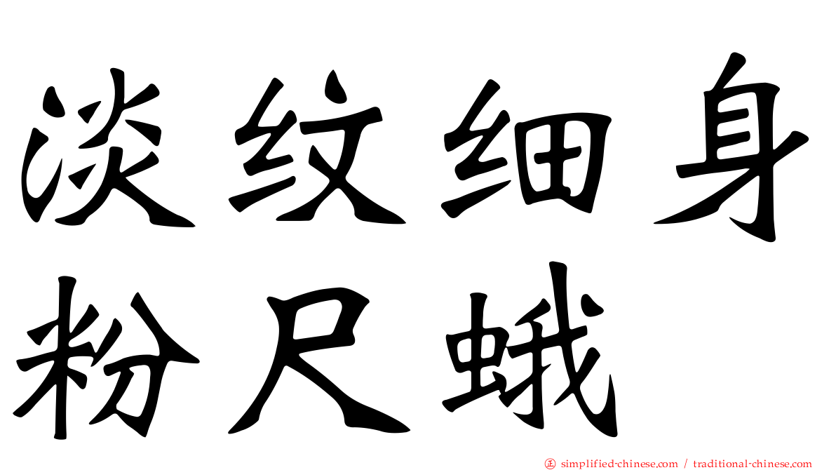 淡纹细身粉尺蛾