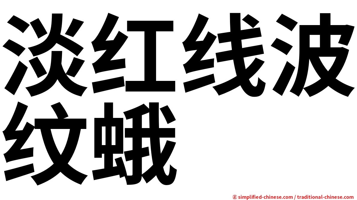 淡红线波纹蛾