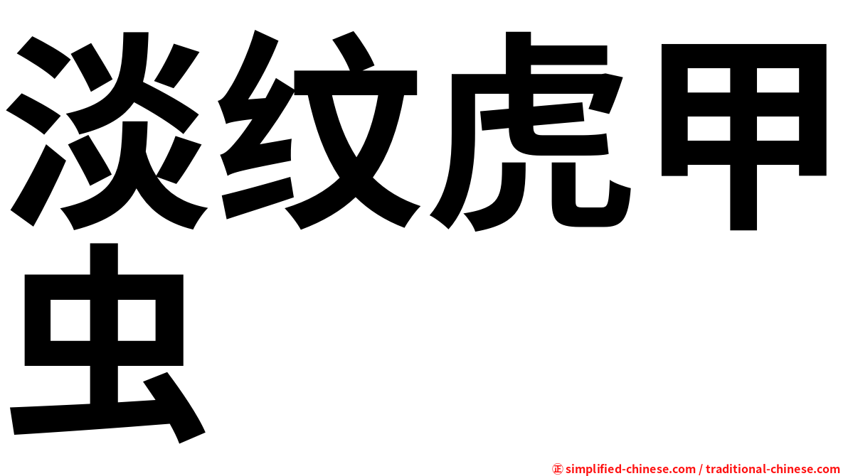 淡纹虎甲虫