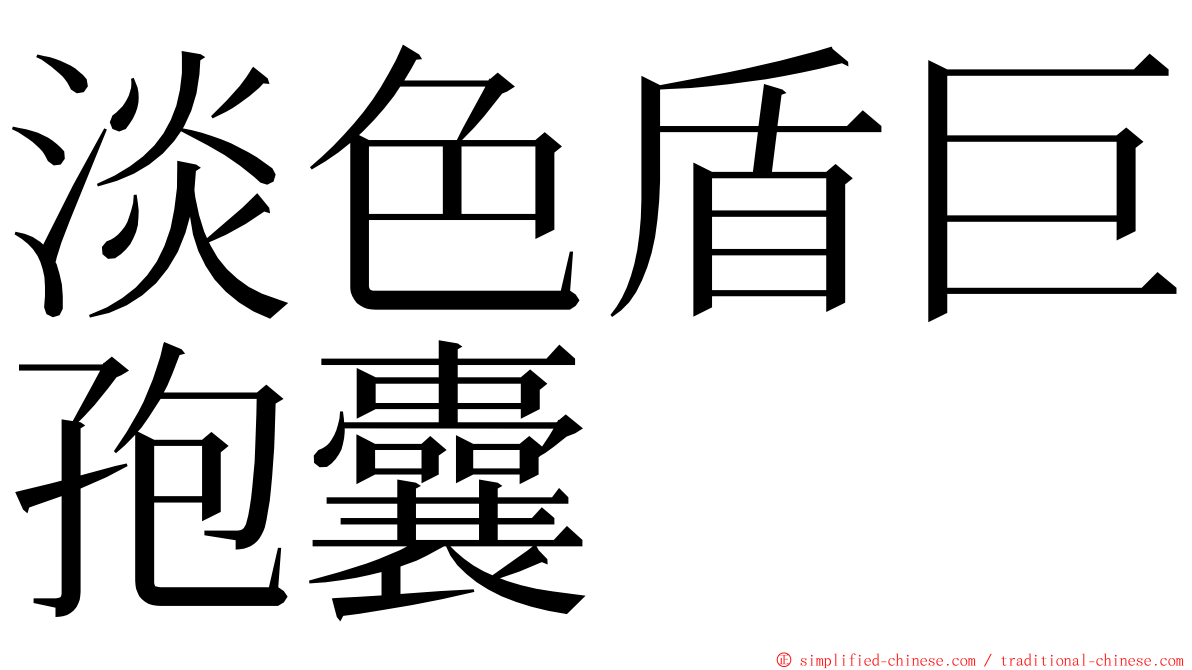 淡色盾巨孢囊 ming font