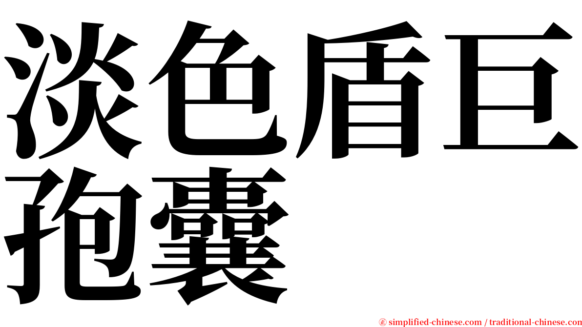 淡色盾巨孢囊 serif font