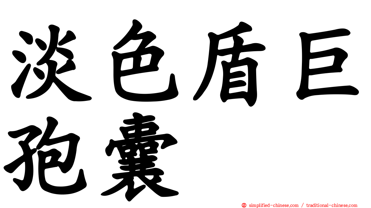 淡色盾巨孢囊