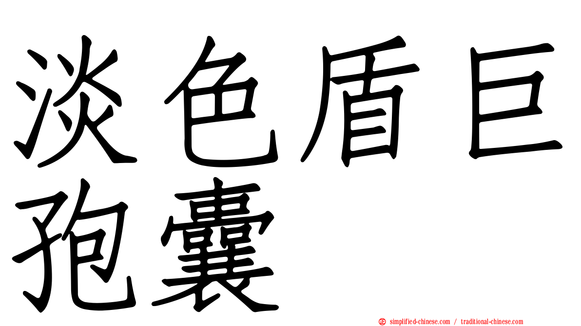 淡色盾巨孢囊