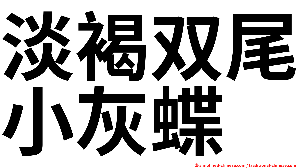 淡褐双尾小灰蝶