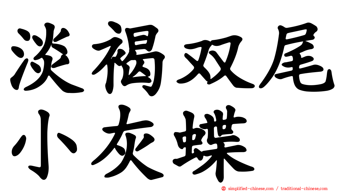 淡褐双尾小灰蝶
