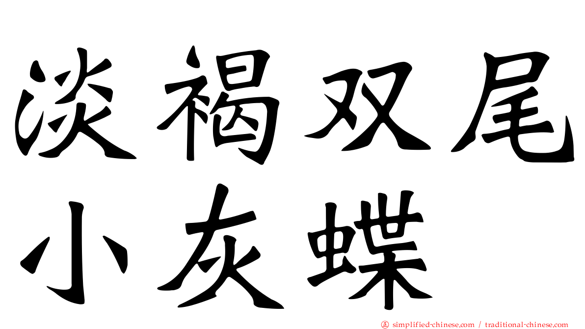 淡褐双尾小灰蝶
