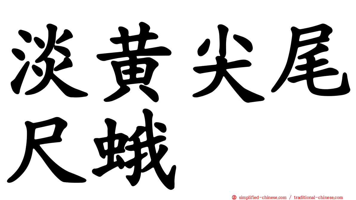 淡黄尖尾尺蛾