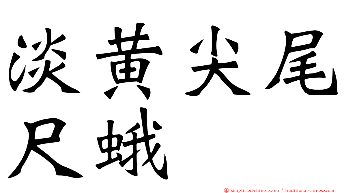 淡黄尖尾尺蛾