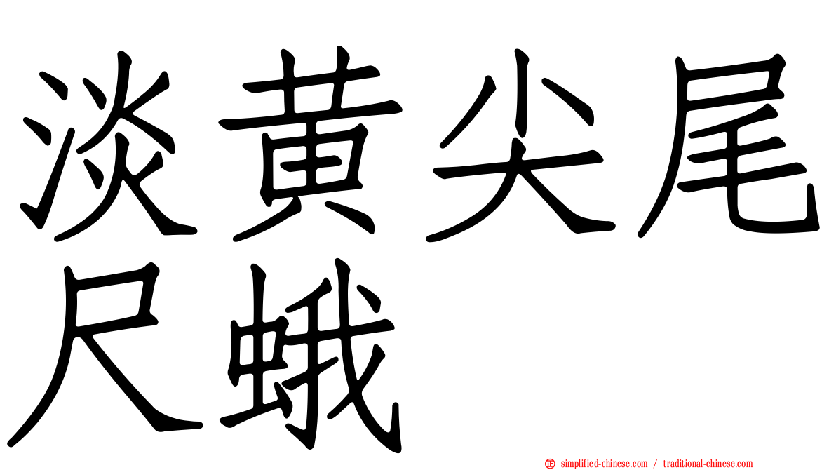 淡黄尖尾尺蛾