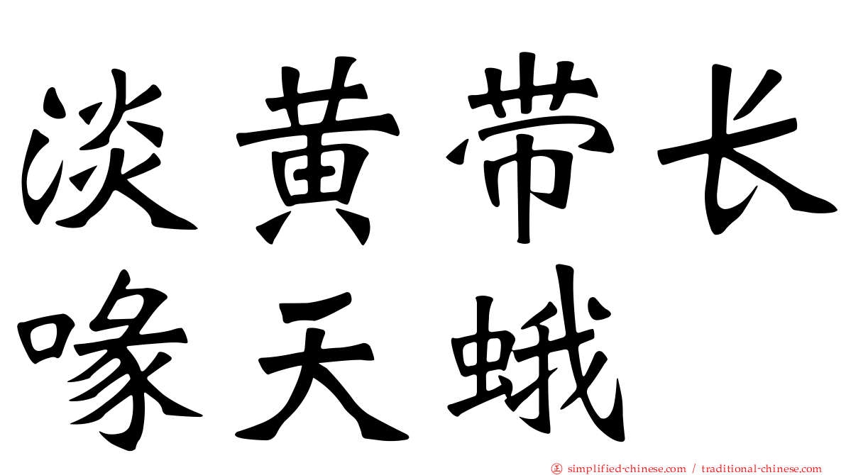 淡黄带长喙天蛾