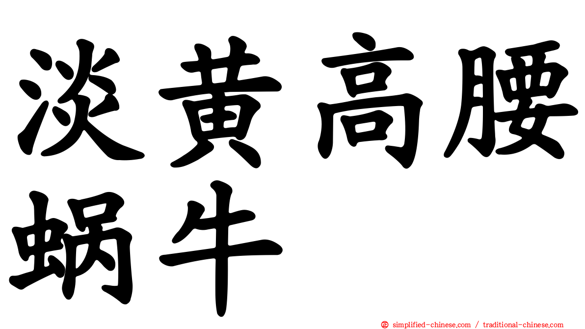 淡黄高腰蜗牛