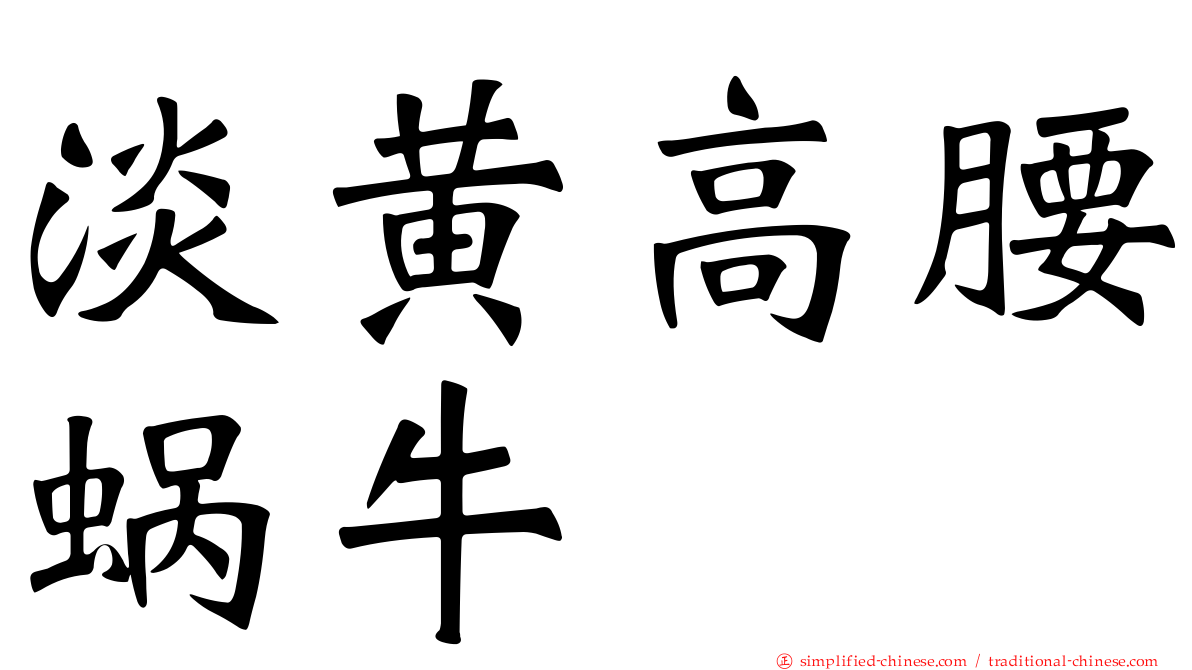 淡黄高腰蜗牛