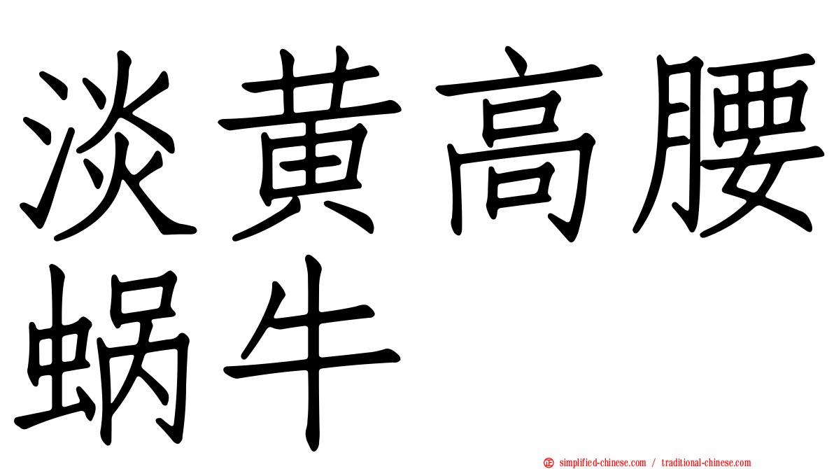 淡黄高腰蜗牛