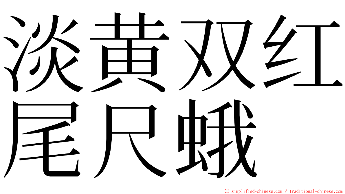 淡黄双红尾尺蛾 ming font