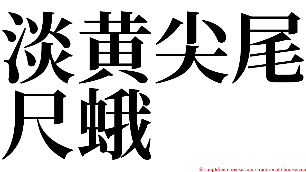 淡黄尖尾尺蛾 serif font