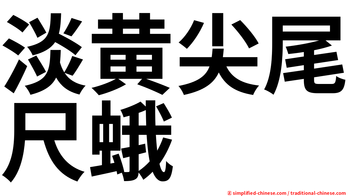 淡黄尖尾尺蛾