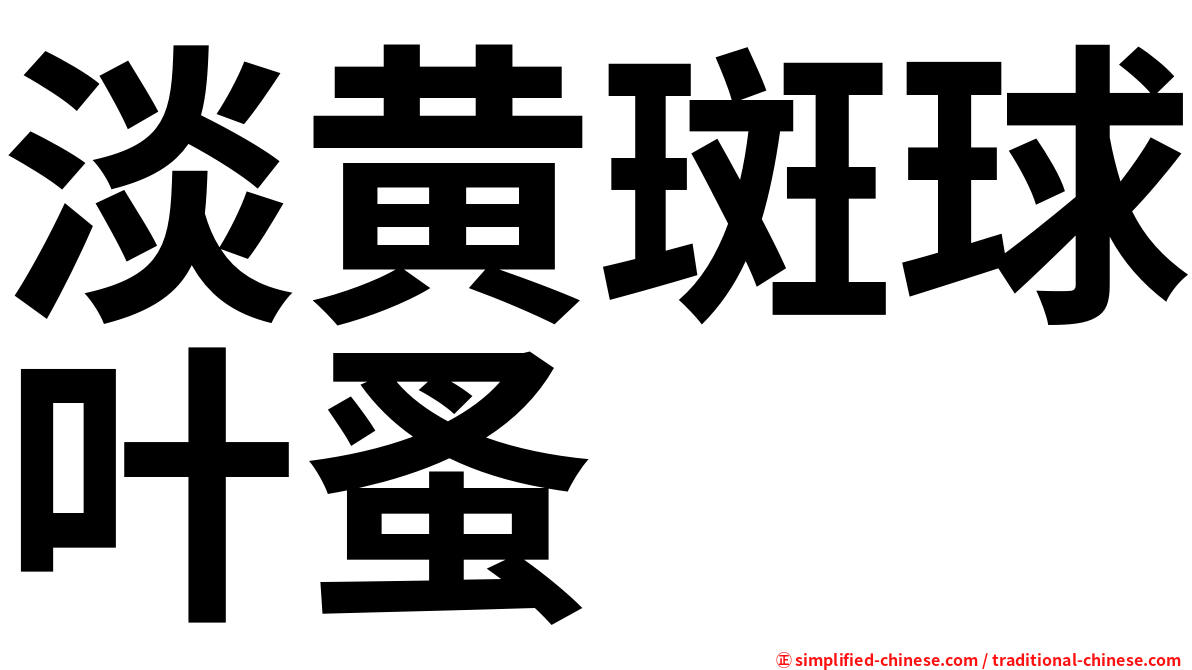 淡黄斑球叶蚤