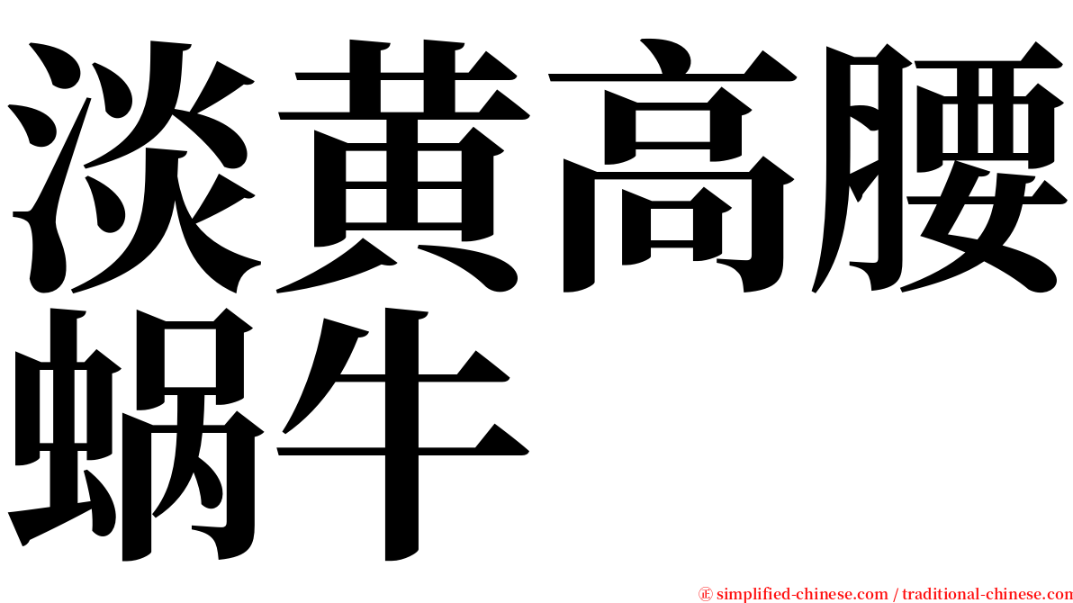 淡黄高腰蜗牛 serif font