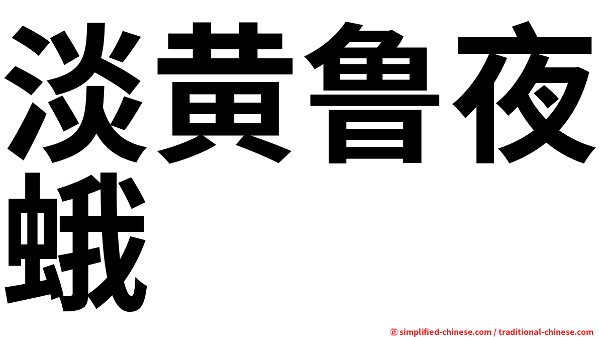 淡黄鲁夜蛾