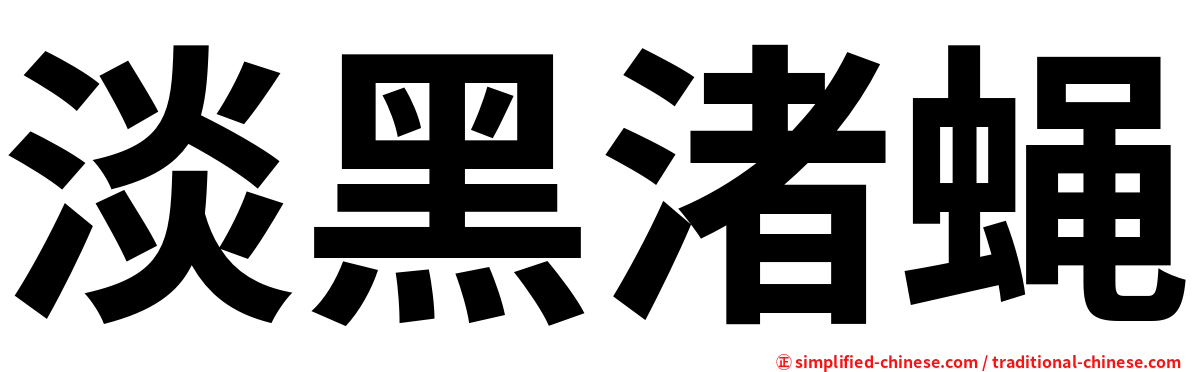 淡黑渚蝇