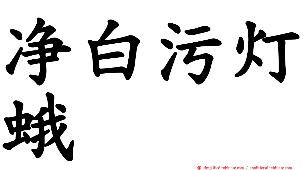 净白污灯蛾