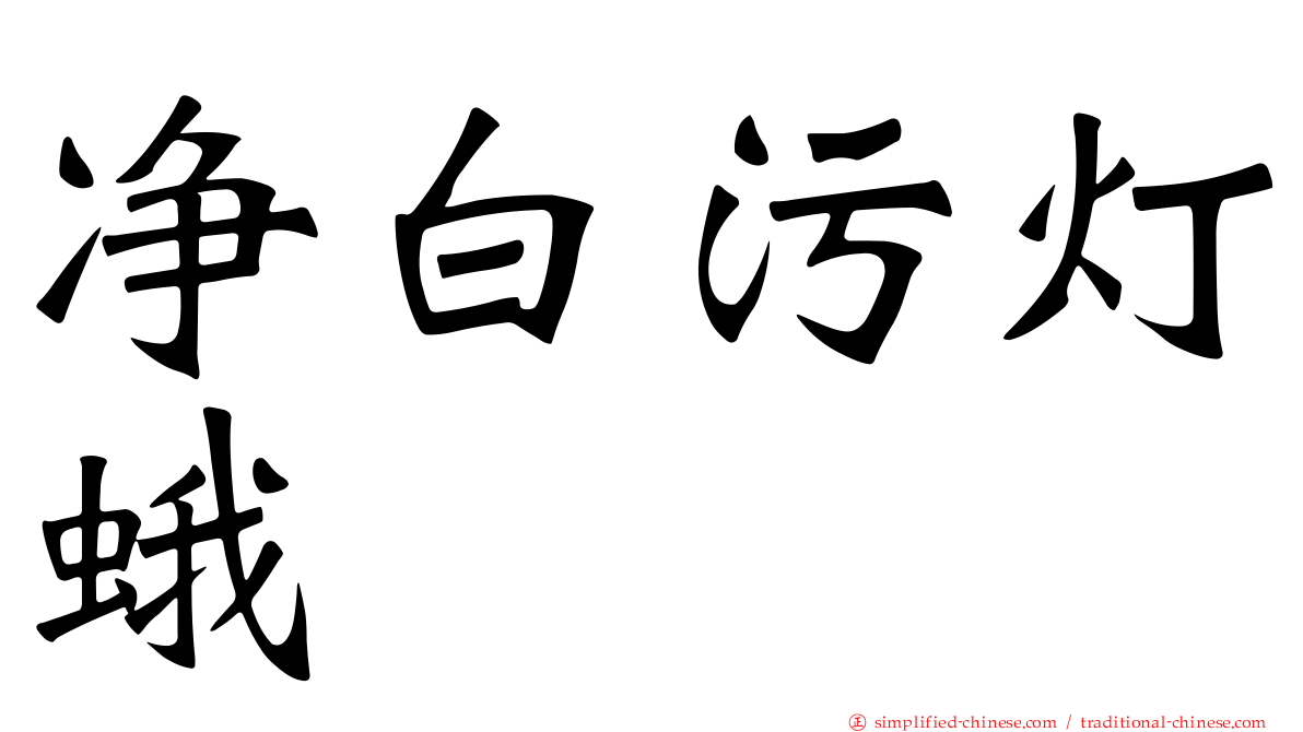 净白污灯蛾