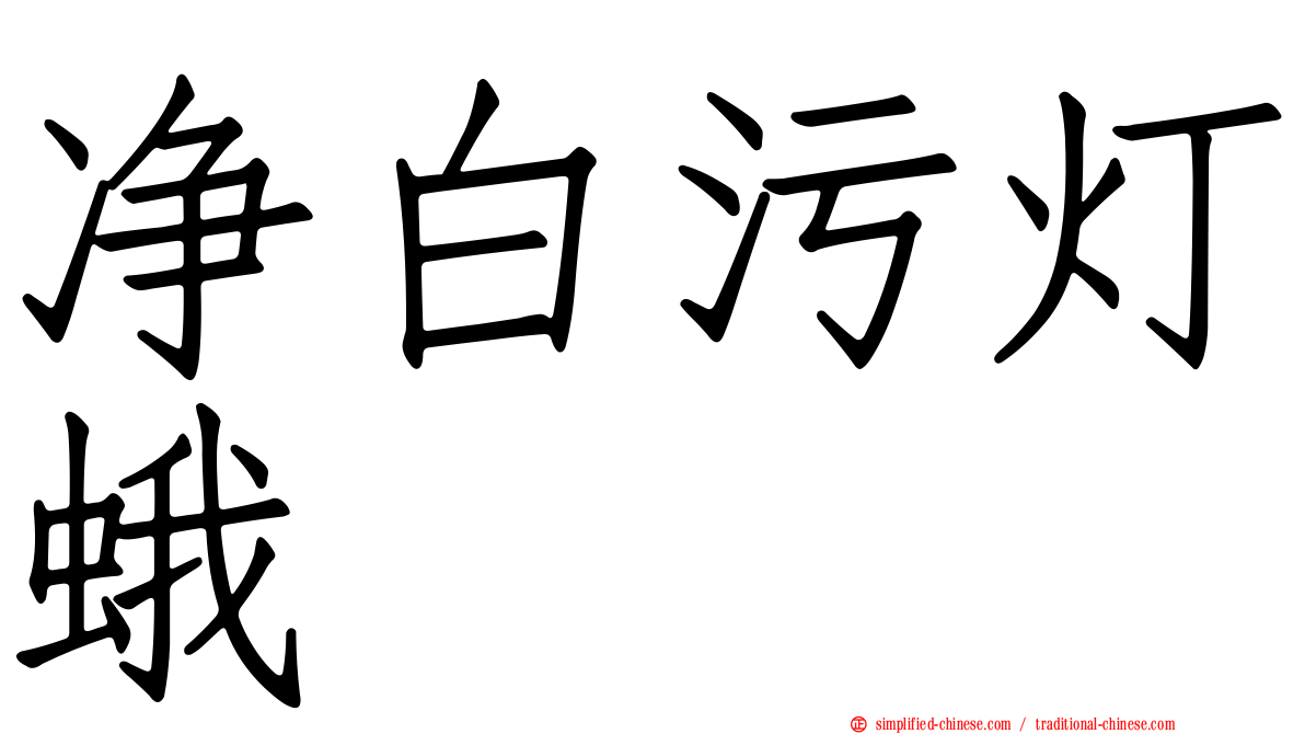 净白污灯蛾