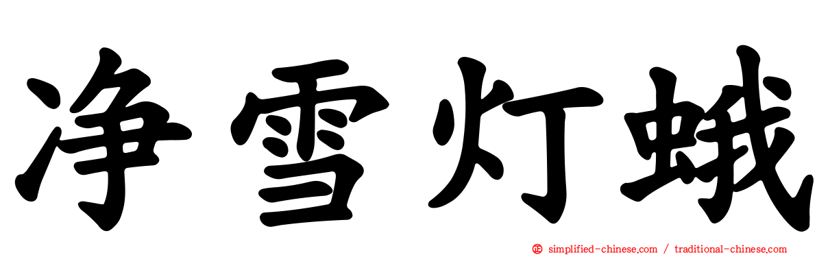 净雪灯蛾