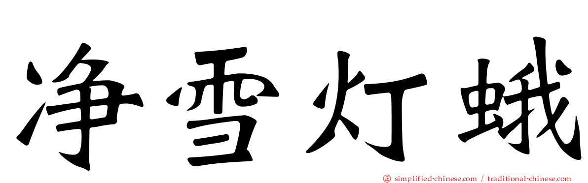 净雪灯蛾