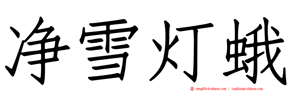 净雪灯蛾
