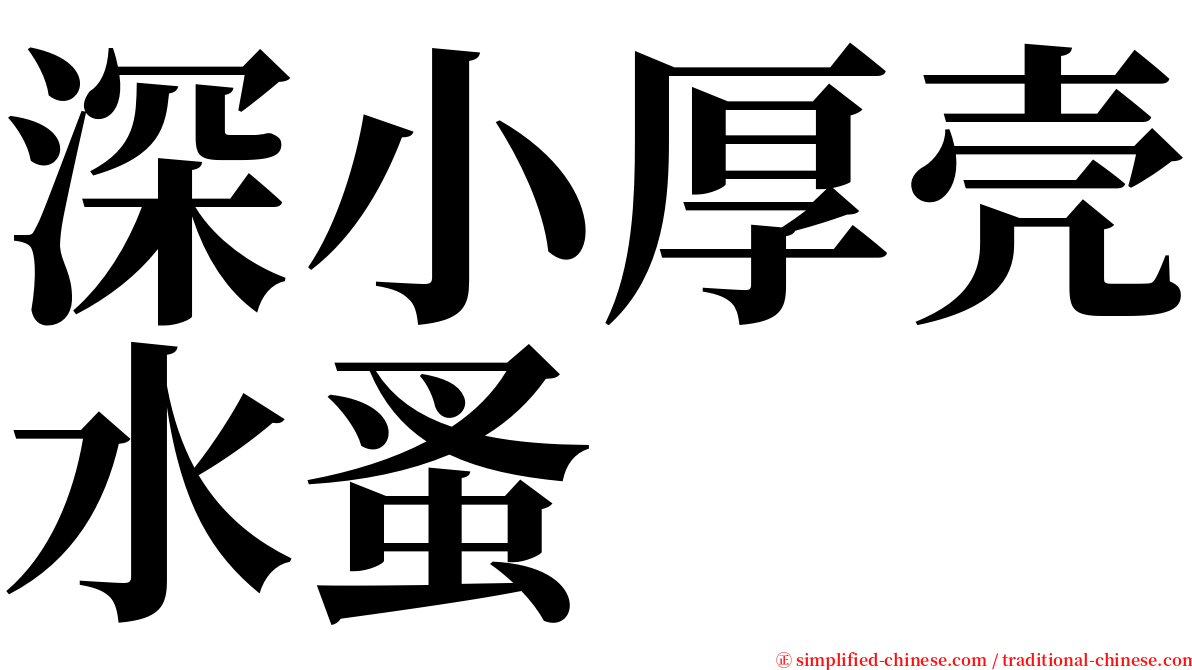 深小厚壳水蚤 serif font