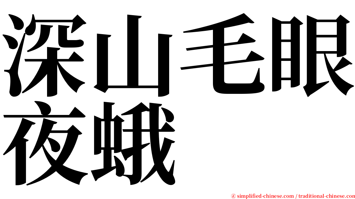 深山毛眼夜蛾 serif font
