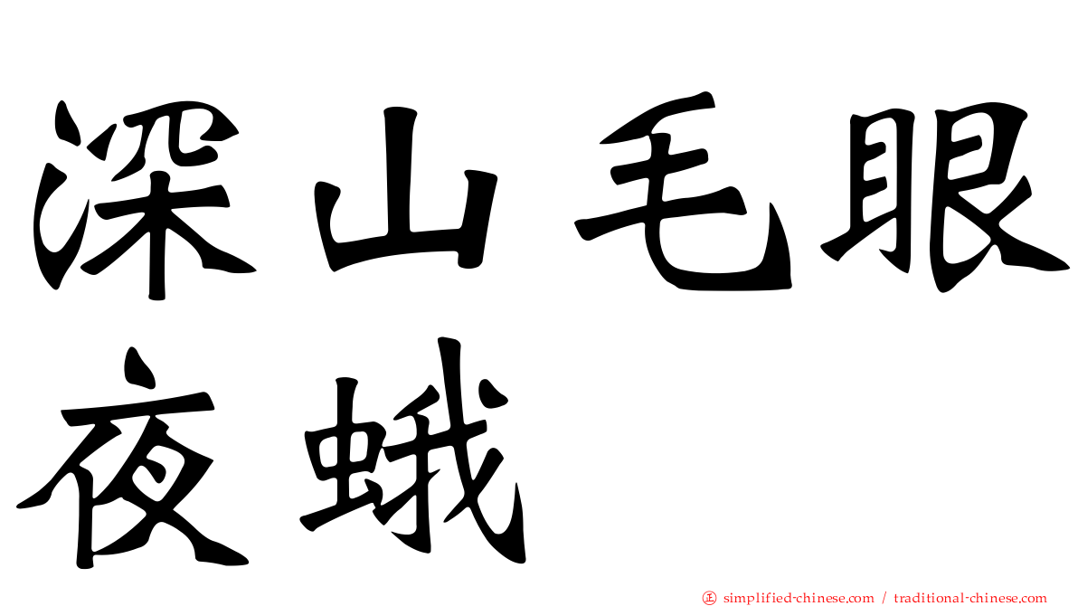 深山毛眼夜蛾