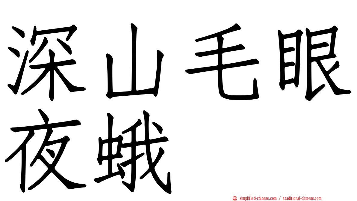 深山毛眼夜蛾