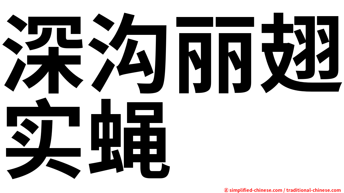 深沟丽翅实蝇