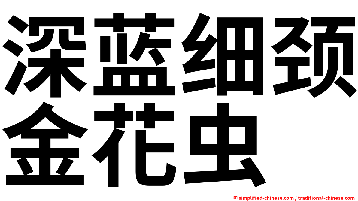 深蓝细颈金花虫