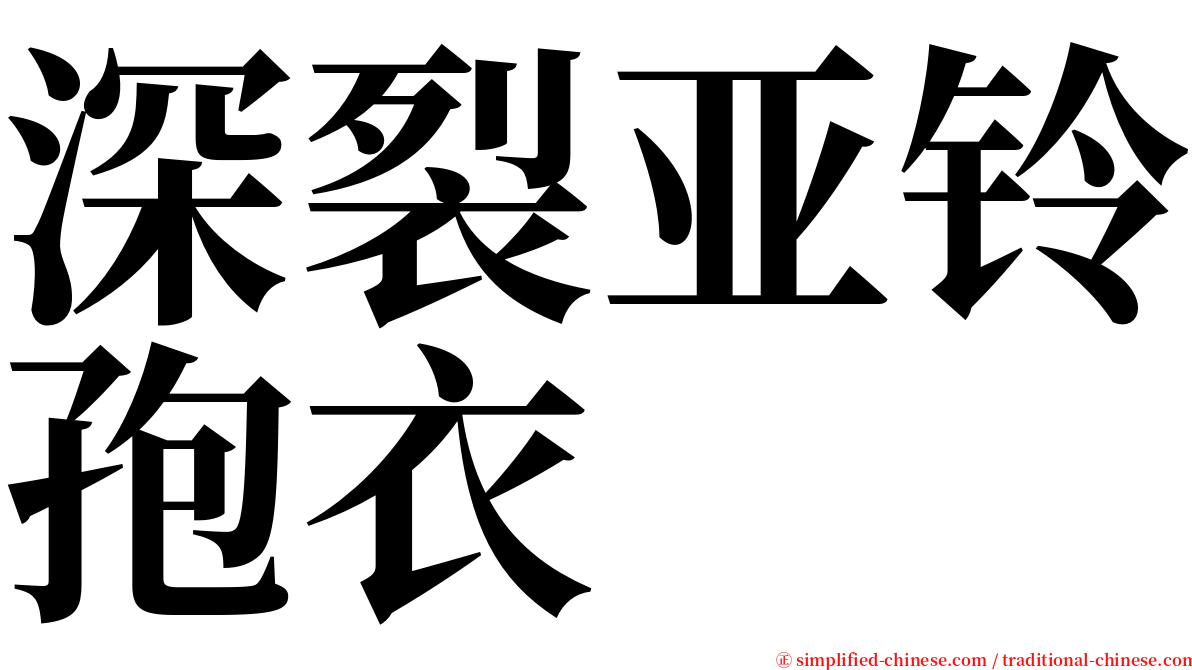 深裂亚铃孢衣 serif font