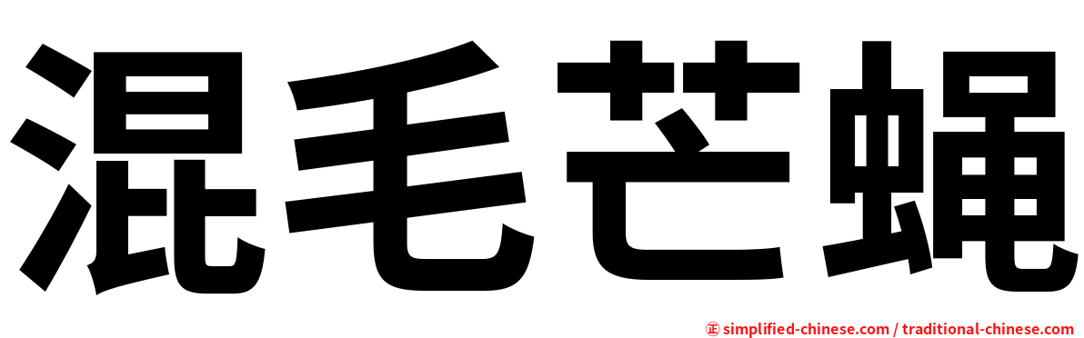 混毛芒蝇