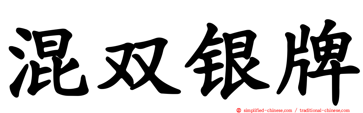 混双银牌