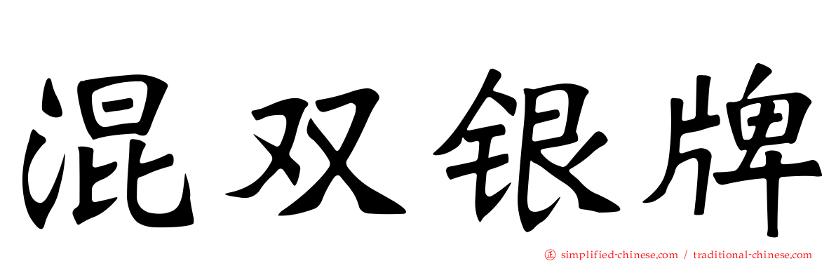 混双银牌