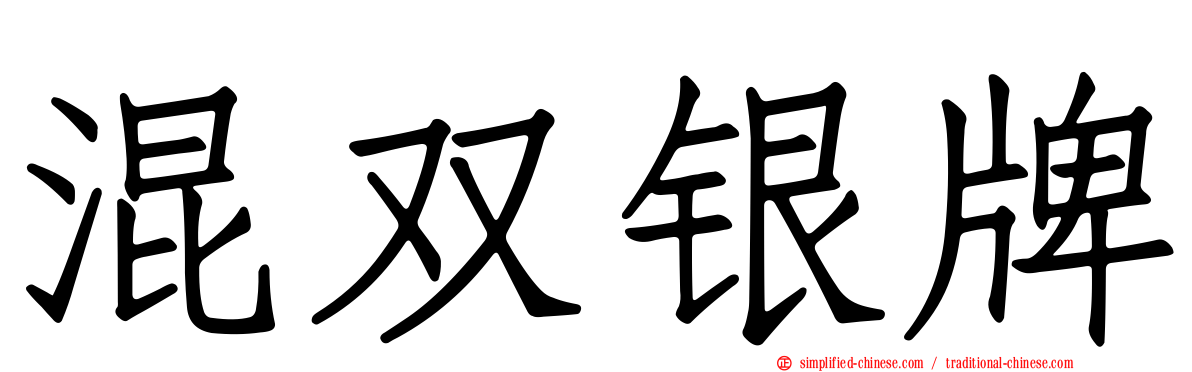 混双银牌