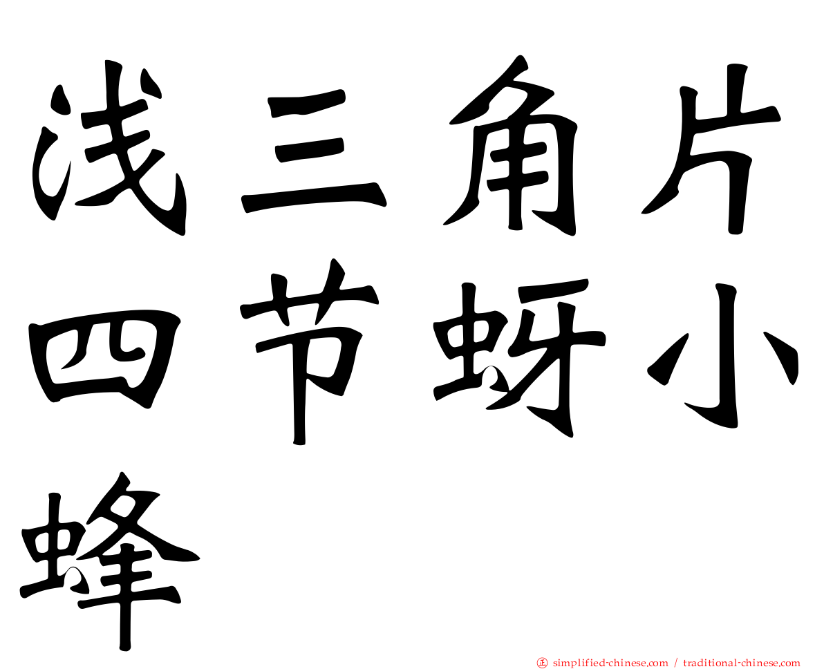 浅三角片四节蚜小蜂