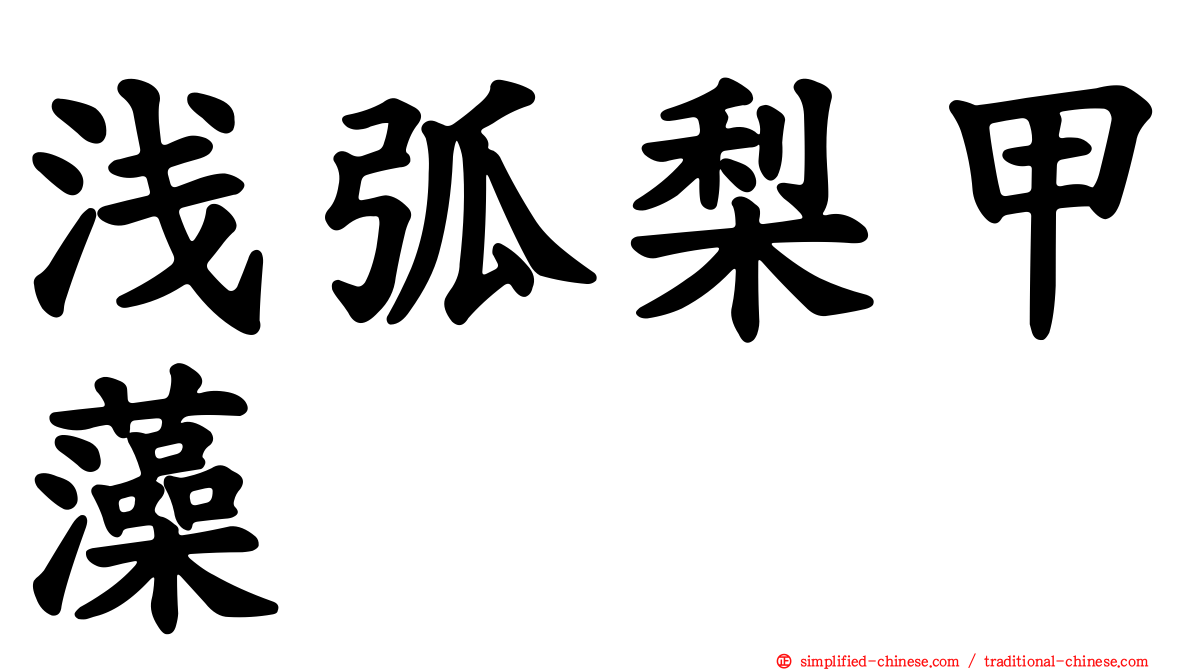 浅弧梨甲藻