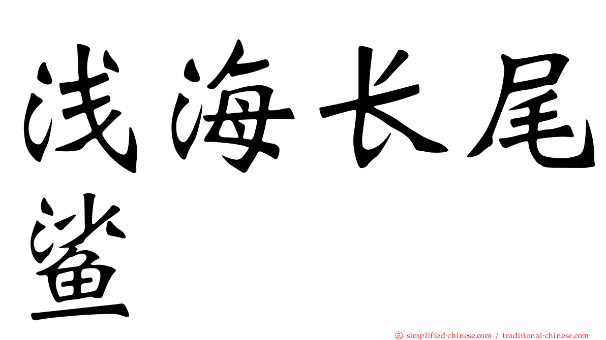 浅海长尾鲨