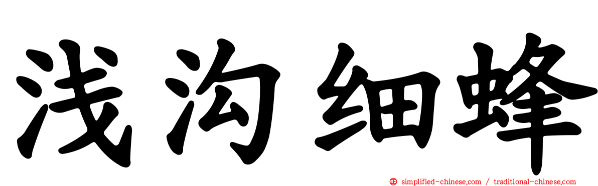 浅沟细蜂