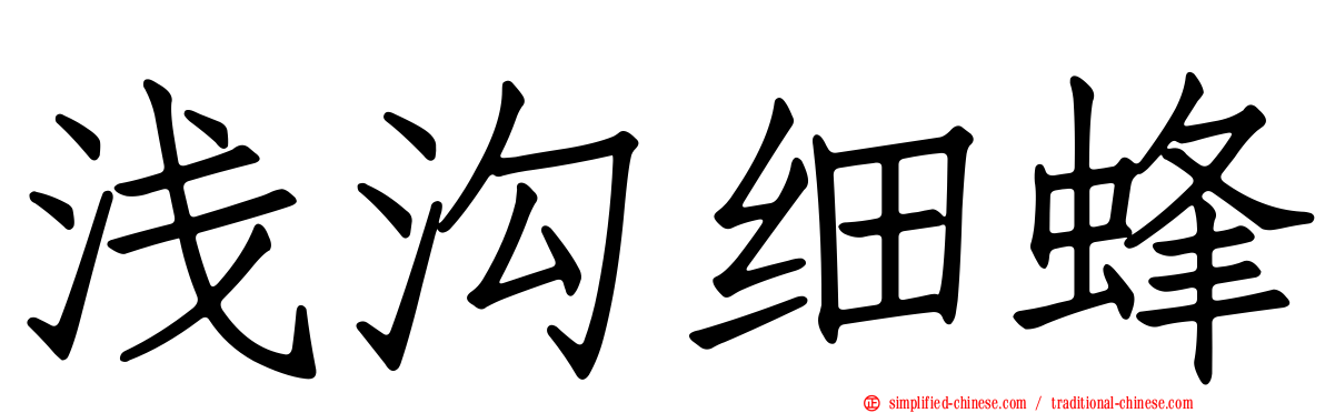浅沟细蜂